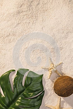 green leaf with starfish beach. High quality photo