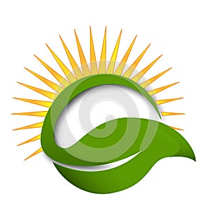 Green leaf sun rays vector logo