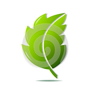 Green Leaf Symbol
