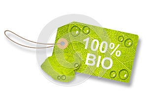 Green Leaf Tag, Label 100% Bio - On White