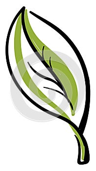 Green leaf tattoo, illustration, vector