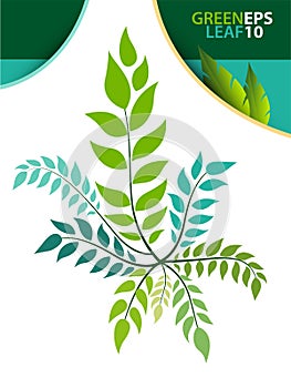 Green leaf template