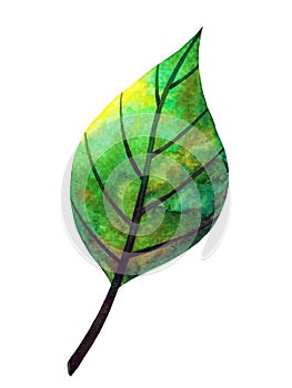 Green leaf tree plant eco energy ecology nature power environmental concept save earth concept leaf shape icon logo sign symbol
