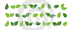 Green leaf tree vector icon, organic eco set, sprout plant foliage, bio symbol differents shape. Simple ecology label Nature