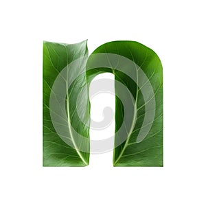 Green leaf typography text design lowercase alphabet n