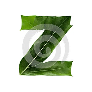 Green leaf typography text design lowercase alphabet z