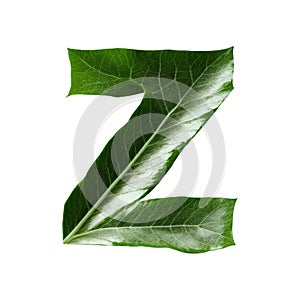Green leaf typography text design lowercase alphabet z