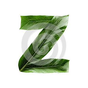 Green leaf typography text design lowercase alphabet z