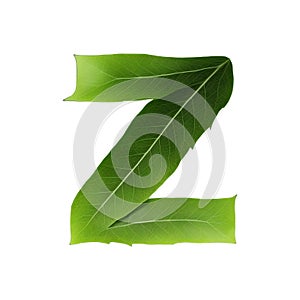 Green leaf typography text design lowercase alphabet z