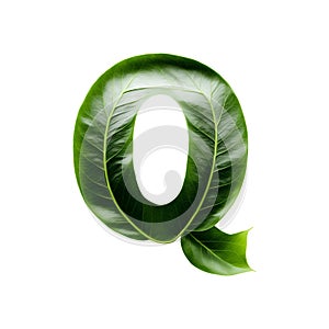 Green leaf typography text design uppercase alphabet Q