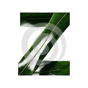 Green leaf typography text design uppercase alphabet Z