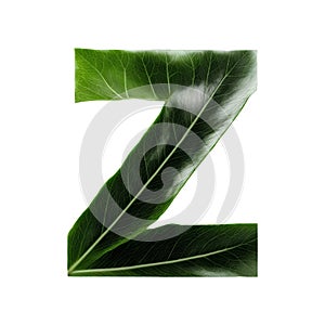 Green leaf typography text design uppercase alphabet Z