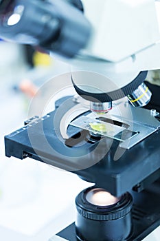 Green leaf under microscope