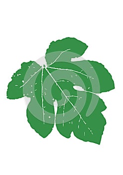 Green leaf Vector