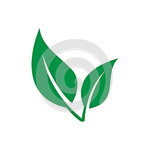 Green leaf vector icon. botany illustration sign . ecology symbol. eco sign.