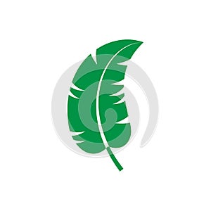 Green leaf vector icon. botany illustration sign . ecology symbol. eco sign.