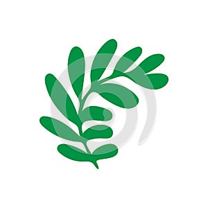 Green leaf vector icon. botany illustration sign . ecology symbol. eco sign.