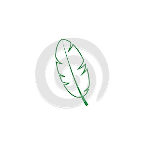 Green leaf vector icon. botany illustration sign . ecology symbol. eco sign.