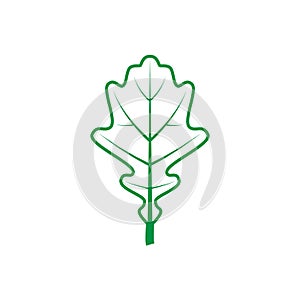Green leaf vector icon. botany illustration sign . ecology symbol. eco sign.