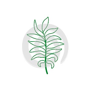 Green leaf vector icon. botany illustration sign . ecology symbol. eco sign.