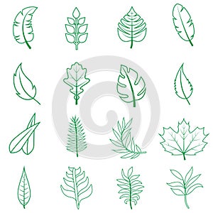 Green leaf vector icon set. botany illustration sign collection. ecology symbol. eco sign.