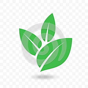 Green leaf vector icon for vegan, bio eco design