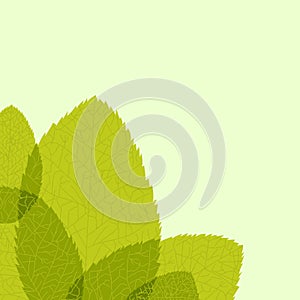 Green leaf. Vector illustration