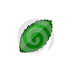 Green leaf vector illustration. eco nature symbol. hand drawn style