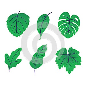 Green leaf vector illustration. eco nature symbol. hand drawn style