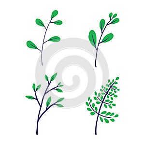 Green leaf vector illustration. eco nature symbol. hand drawn style