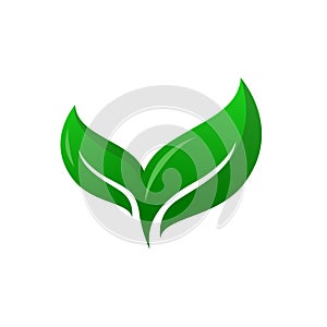 Green leaf vector illustration. eco nature symbol. hand drawn style