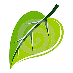 Green leaf vector illustration