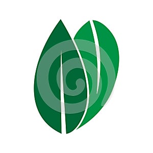 Green Leaf vector logo design and icon.