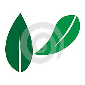 Green Leaf vector logo design and icon.