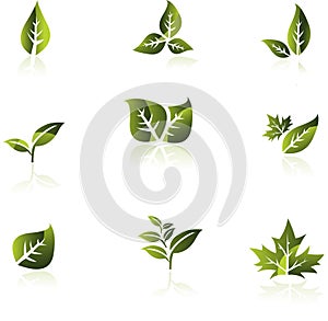 Green leaf vector set.
