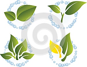 Green leaf vector set.