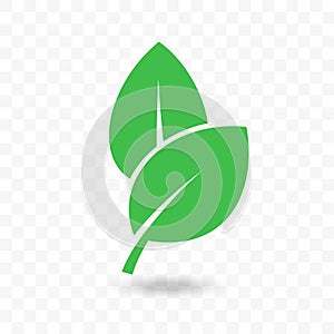 Green leaf vector vegan, bio or eco food icon