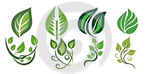 Green leaf vine vector graphics illustration