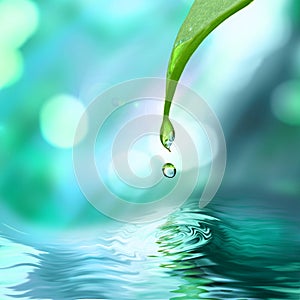 Green leaf with water drop water