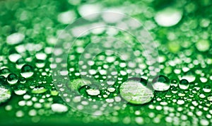 Green leaf with water drops after rain