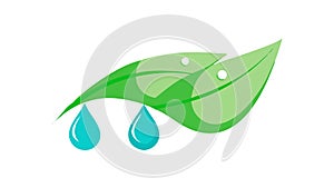 Green Leaf with Water Drops Vector Icon, Freshness Hydration, vector design Generative AI