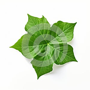 Green Leaf On White Background: Aerial Photography Inspired By Diego Rivera And Charles Willson Peale