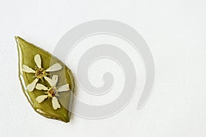 Green leaf with white flowers filled with epoxy resin on a white textile background, top view. The basis for a pendant or earrings