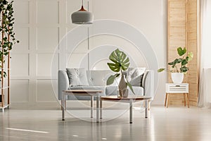 Green leaf in white vase on round wooden coffee table in spacious living room with grey couch, plants and wooden furniture