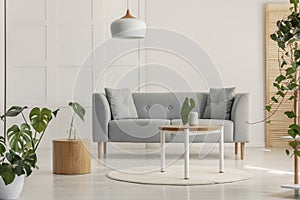 Green leaf in white vase on round wooden coffee table in stylish living room with grey scandinavian sofa