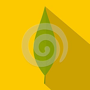 Green leaf of willow icon, flat style