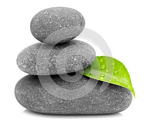 Green leaf and zen stones