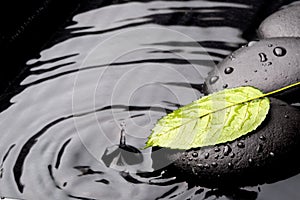 Green leaf with zen stones on wet background