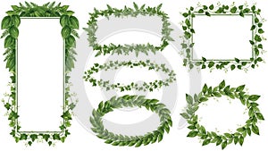 Green leafy frames isolated on white background