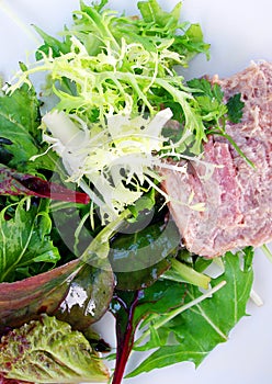 Green leafy lettuce salad with pate